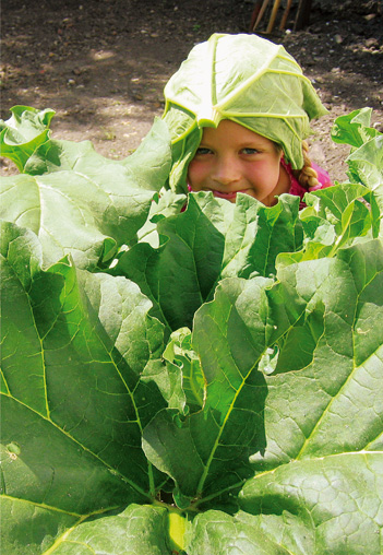 Petite cuisine au fond du jardin