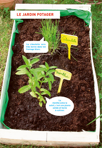 Petite cuisine au fond du jardin