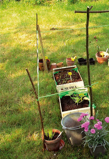 Petite cuisine au fond du jardin