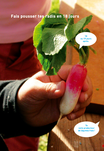 Petite cuisine au fond du jardin