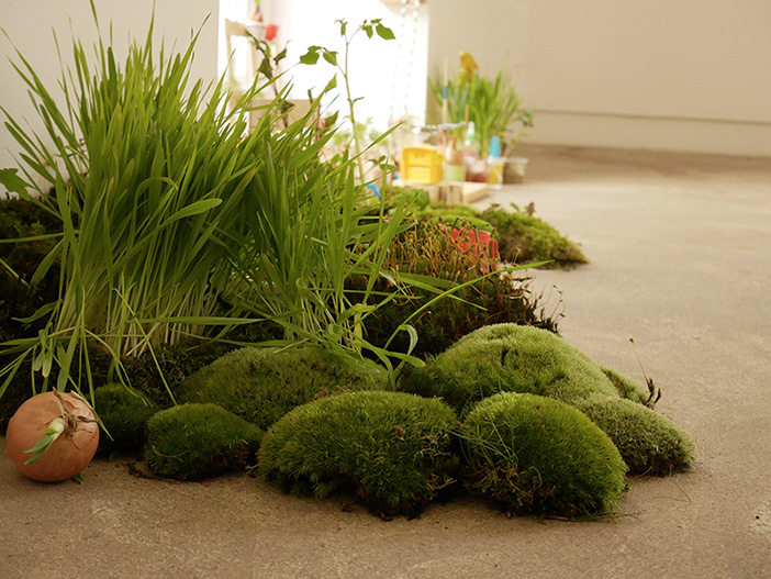 Dialogue(s) avec un brin d'herbe